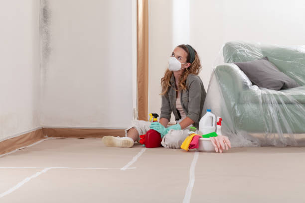 Reliable Mold Cleanup contractor in Marshall, TX by WQB Mold Removal